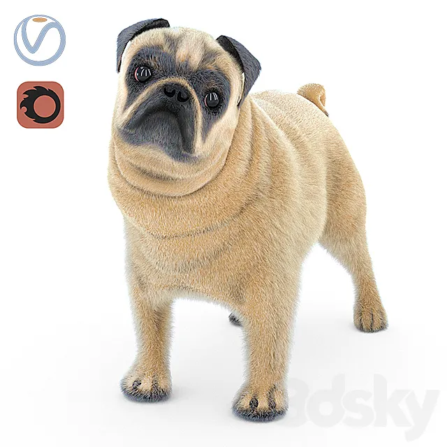 Pug 2 3DModel