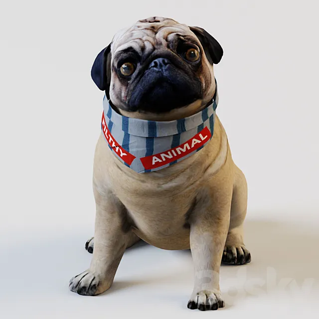 PUG 3D Model