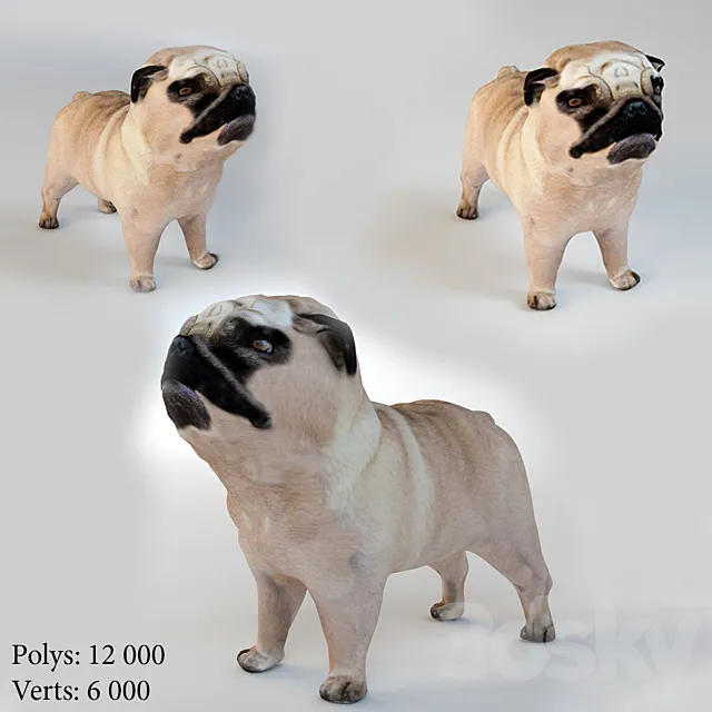 Pug 3D Model