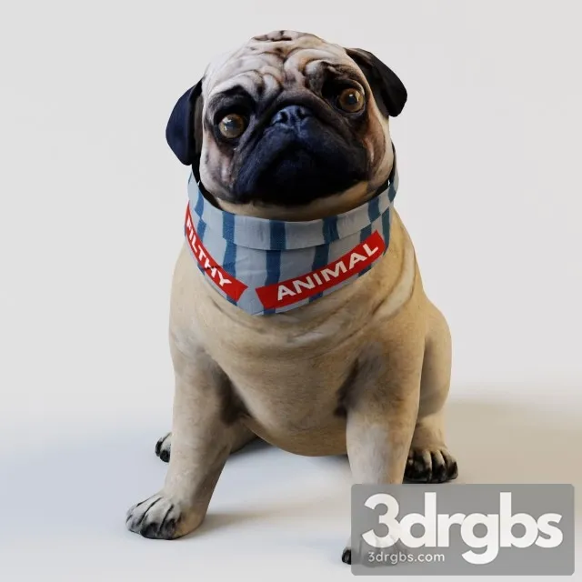 Pug Dog 3D Model Download
