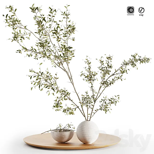Pulm Branch in White Vase Set3 3D Model Pulm Branch in White Vase Set3 3D Model