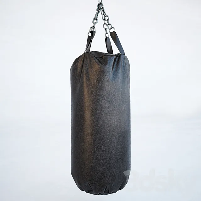 Punching bag 3D Model