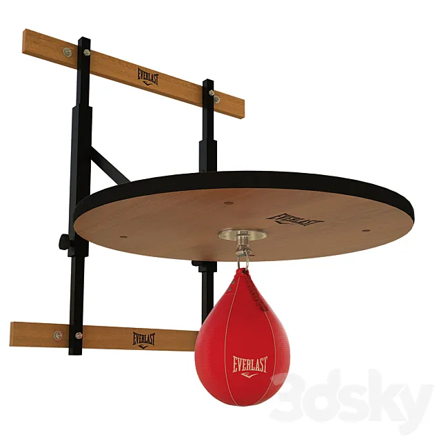 Punching bag and fasteners Everlast 3D Model