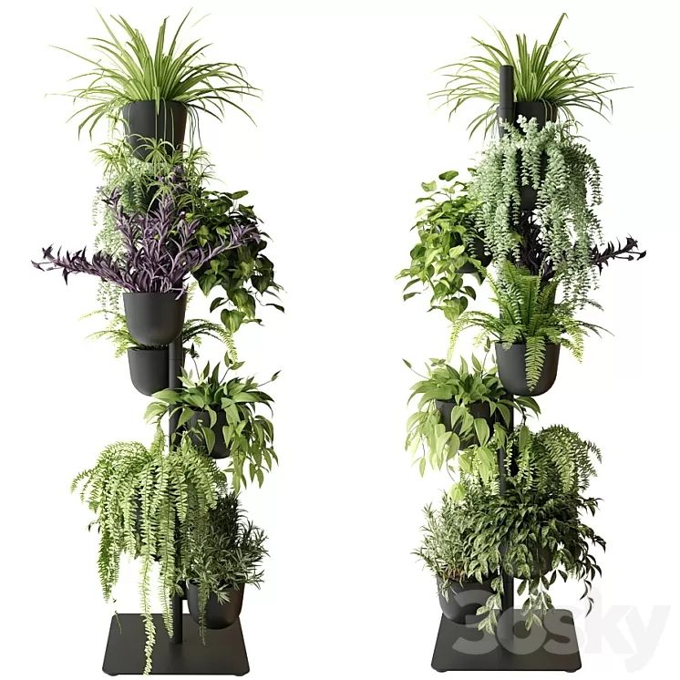 Rack with indoor plants in pots 3D Model Free Download