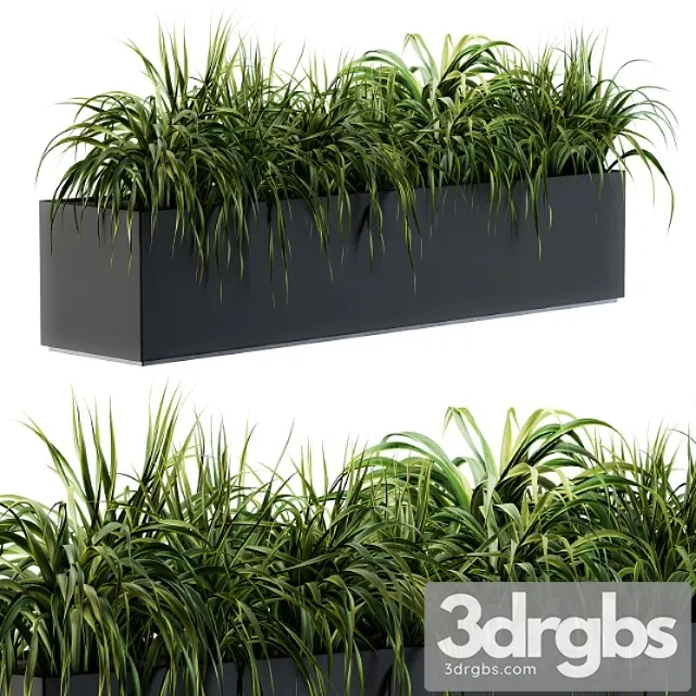 Ranch Grass Plants in Box Outdoor Set 63 3D Model Download