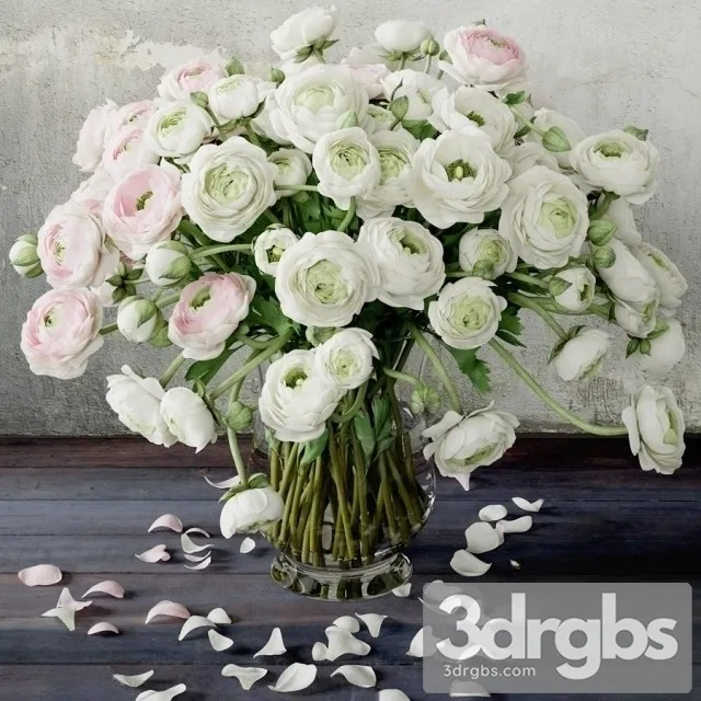 Ranunculus Bouquet 2 3D Model Download Ranunculus Bouquet 2 3D Model Download