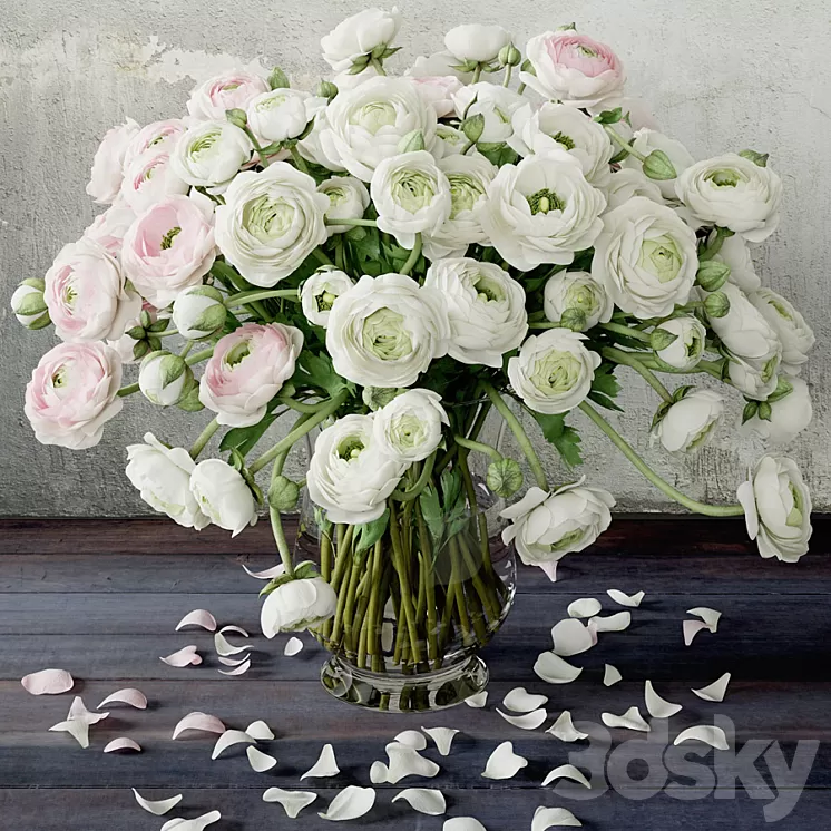 Ranunkulyus 2 3D Model