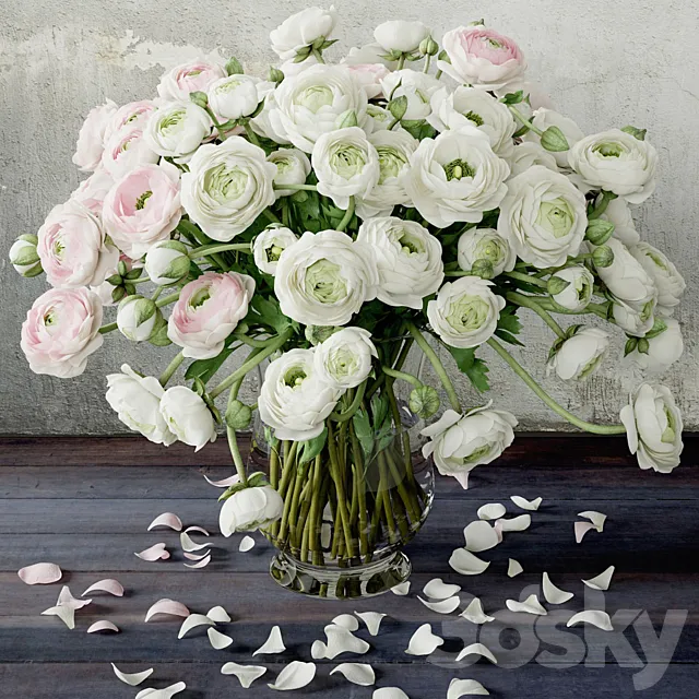 Ranunkulyus 2 3DModel Ranunkulyus 2 3DModel