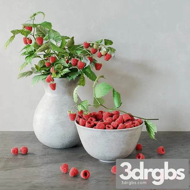 Raspberries Raspberries