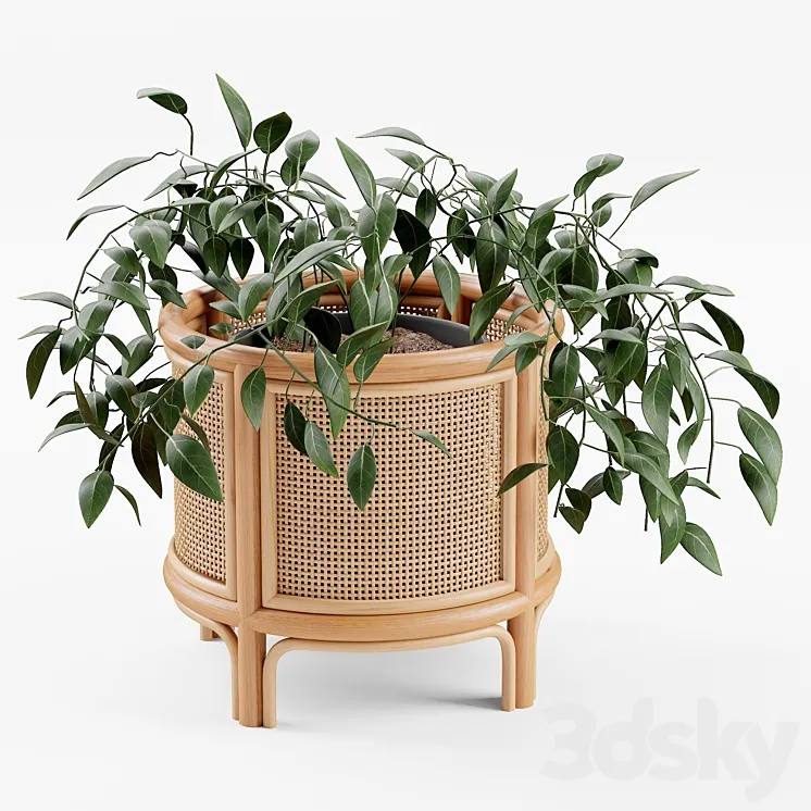 “Rattan 12 “”Planter” 3D Model Free Download