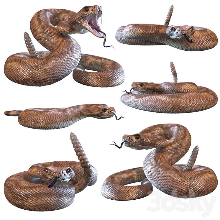 Rattlesnake 3D Model Free Download