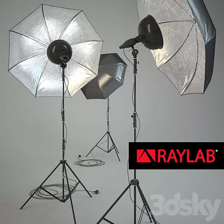 RAYLAB Umbrella silver 3D Model