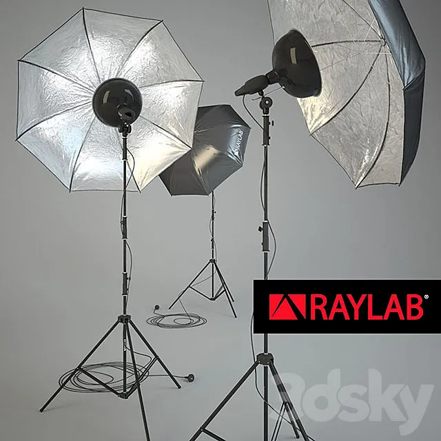 RAYLAB Umbrella silver 3DModel