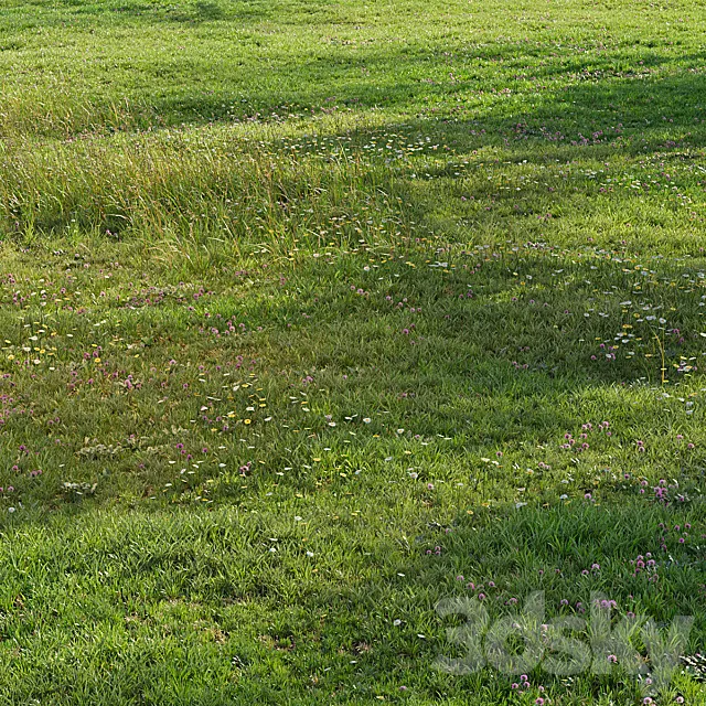 Realistic meadow grass 3D Model