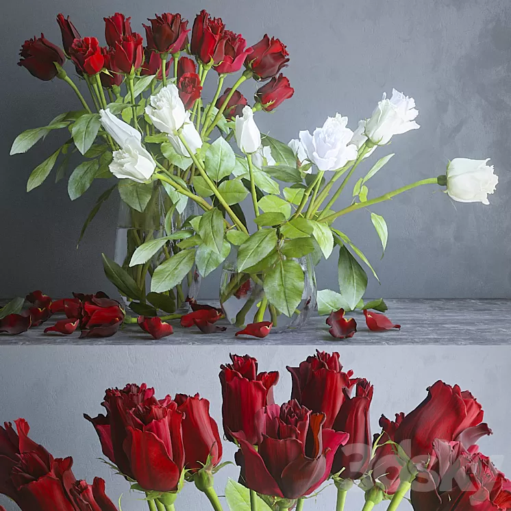 Red and white roses 3D Model