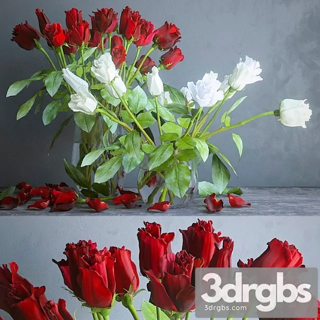 Red and white roses Red and white roses