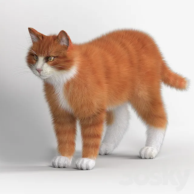 Red Cat 3DModel