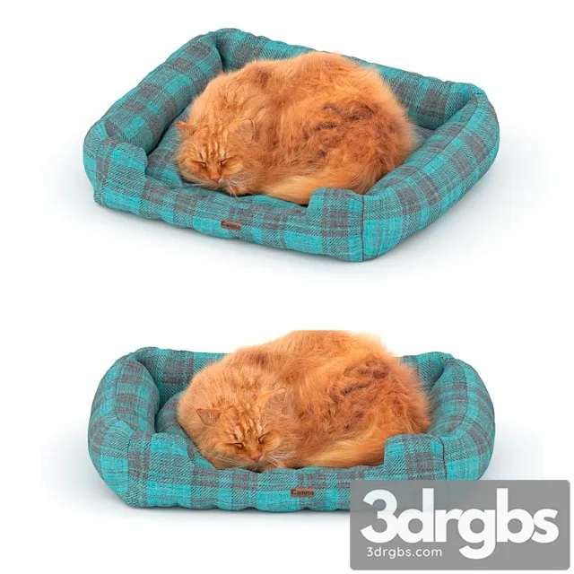 Red Cat On A Bed 3D Model Download