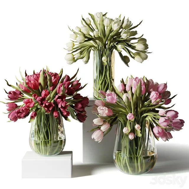 Red pink and white tulips in glass vases 3D Model Red pink and white tulips in glass vases 3D Model