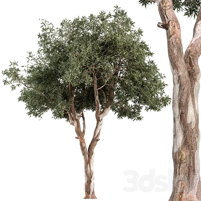 RedGum Tree – Tree Set 175 3D Model