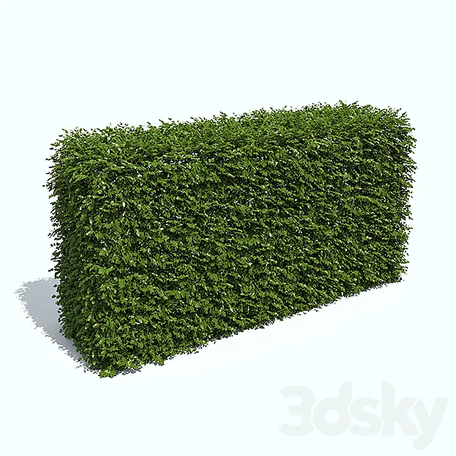 Regular hedges 3DModel