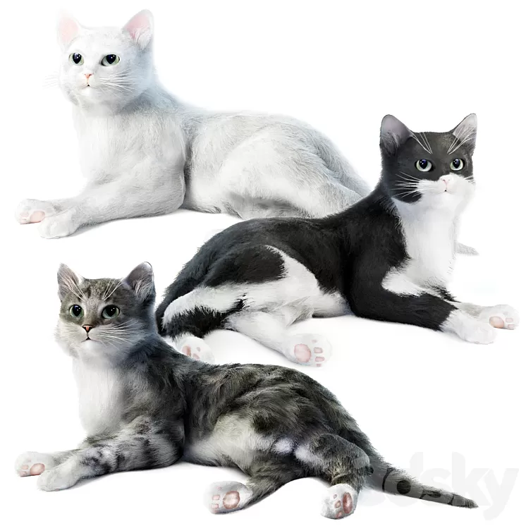 Relaxing cat 1 3D Model Free Download