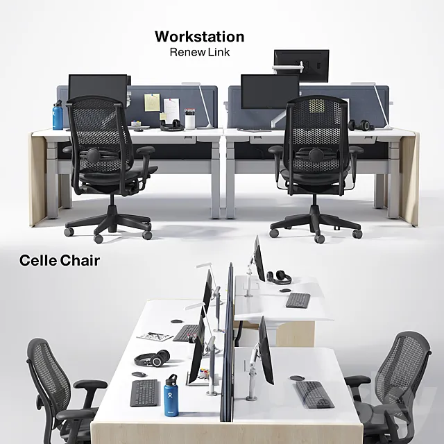Renew Link Workstation & Celle chair 3DModel