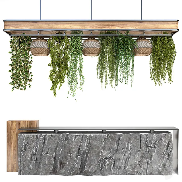 Restaurant counter with hanging plants 3D Model