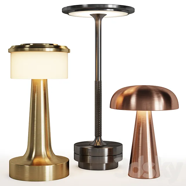 Restaurant lighting 01 Topwinson Purrini 3D Model Restaurant lighting 01 Topwinson Purrini 3D Model