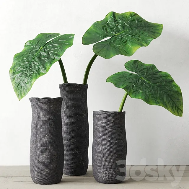 Restoration Hardware Crosshatch Concrete Vase Collection With Taro Leaves 3DModel Restoration Hardware Crosshatch Concrete Vase Collection With Taro Leaves 3DModel