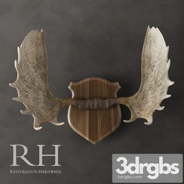Restoration Hardware Moose Antlers In Cast Resin 3D Model Download