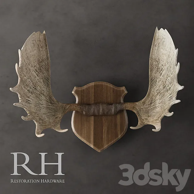 Restoration Hardware – Moose Antlers in Cast Resin 3DModel