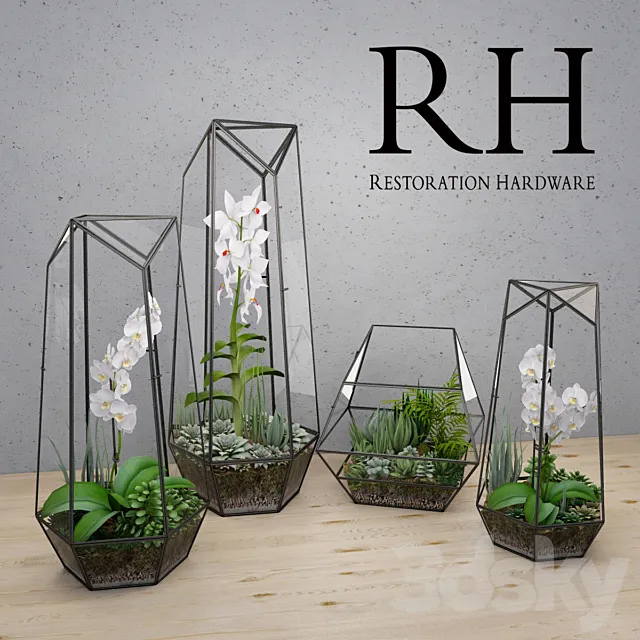 RH FACETED GLASS TERRARIUM 3D Model RH FACETED GLASS TERRARIUM 3D Model