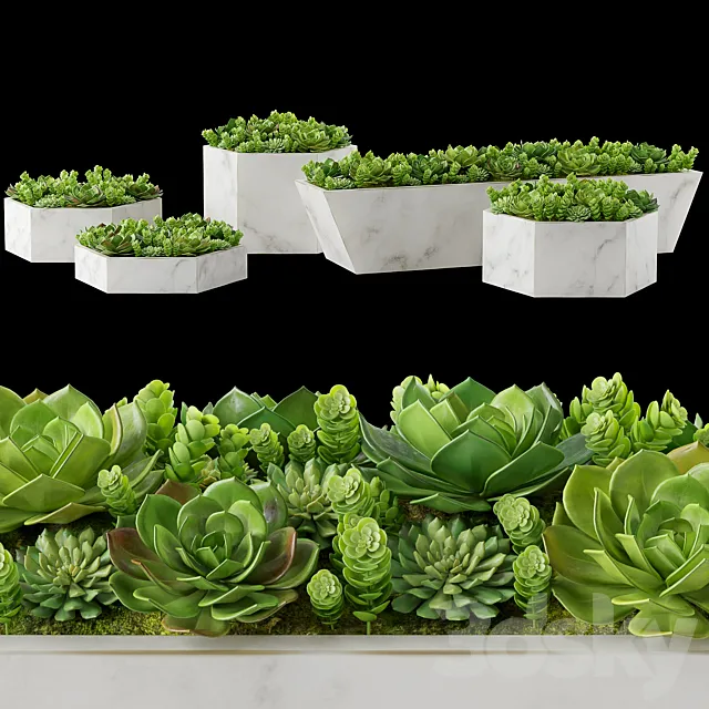 Rh marble trough 3D Model