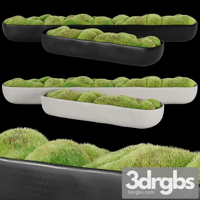 Rh Organic Sculpted Trough Rh Organic Sculpted Trough