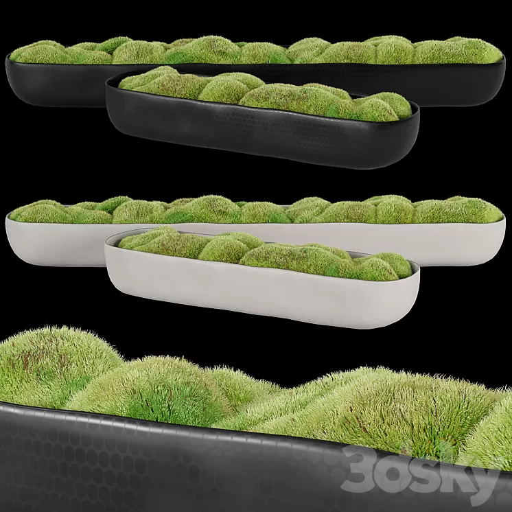 Rh_organic_sculpted_trough 3D Model