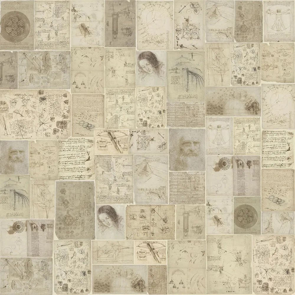 Rimura – Wallpaper Atlanticus 3D Model