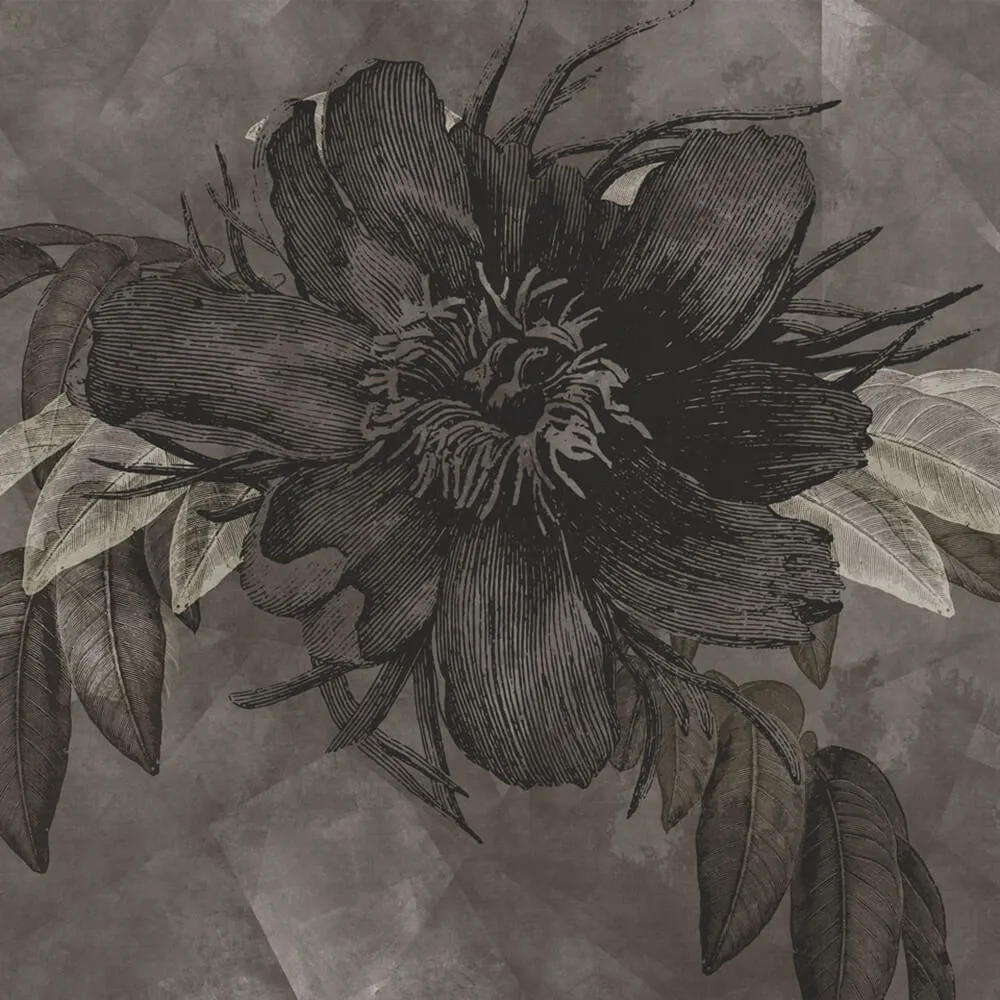 Rimura – Wallpaper Botany 3D Model