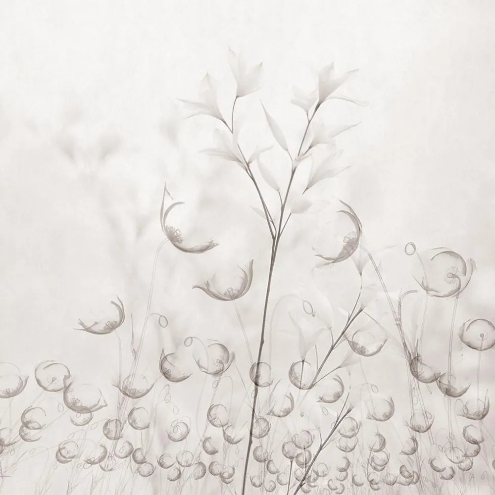 Rimura – Wallpaper Caly 3D Model