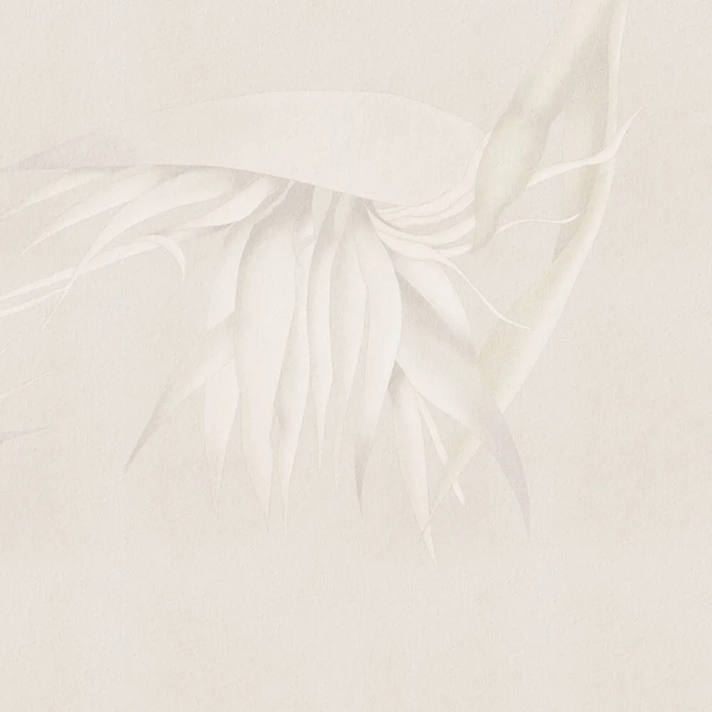 Rimura – Wallpaper Creazione 3D Model