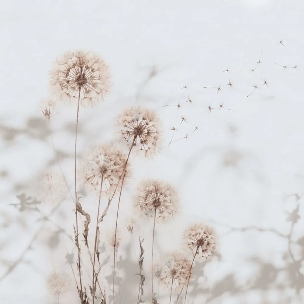 Rimura – Wallpaper Desiderio 3D Model