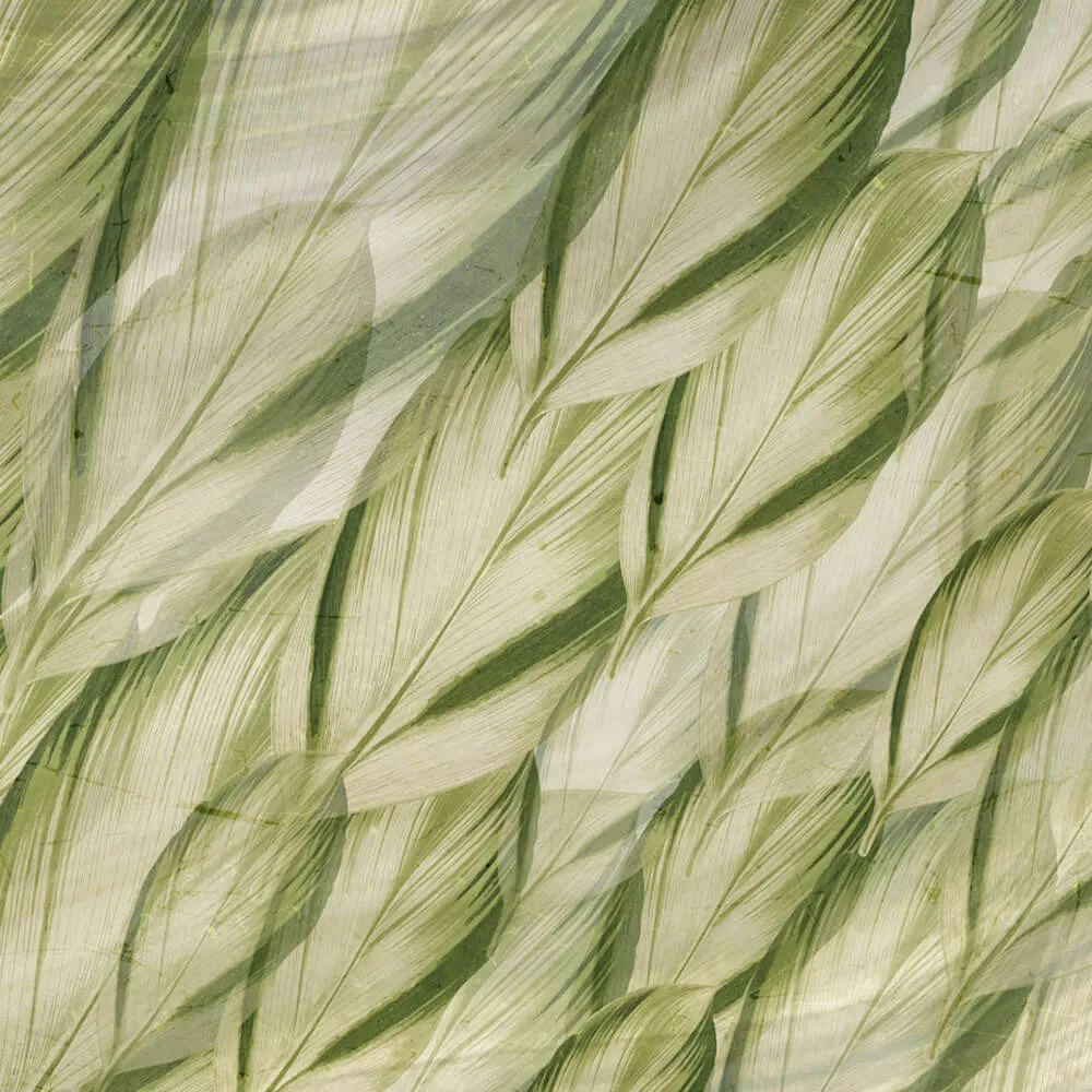 Rimura – Wallpaper Dracaena 3D Model