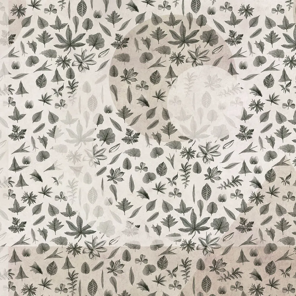 Rimura – Wallpaper Eclipse 3D Model