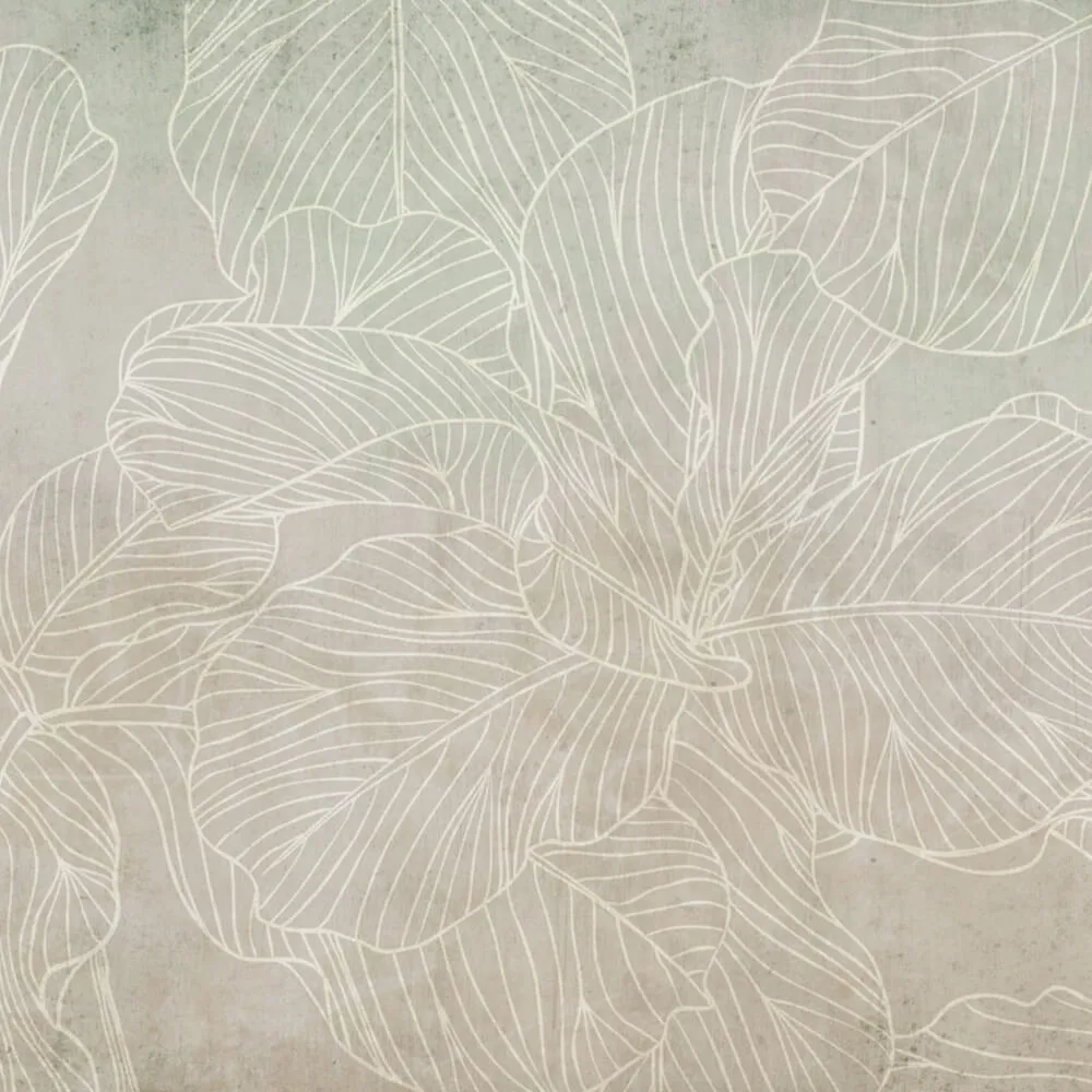 Rimura – Wallpaper Ficus 3D Model Rimura – Wallpaper Ficus 3D Model