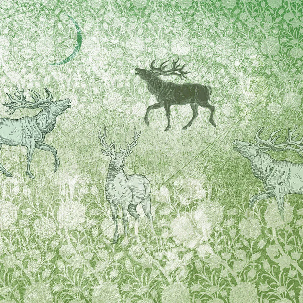 Rimura – Wallpaper Foresta 3D Model Rimura – Wallpaper Foresta 3D Model