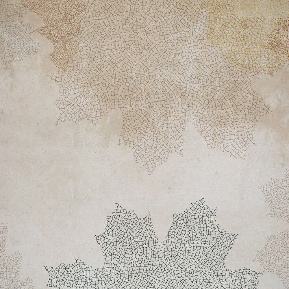 Rimura – Wallpaper Fossil 3D Model Rimura – Wallpaper Fossil 3D Model