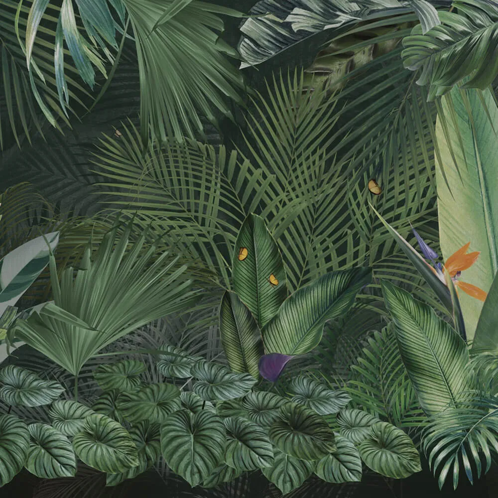 Rimura – Wallpaper Guava 3D Model Rimura – Wallpaper Guava 3D Model