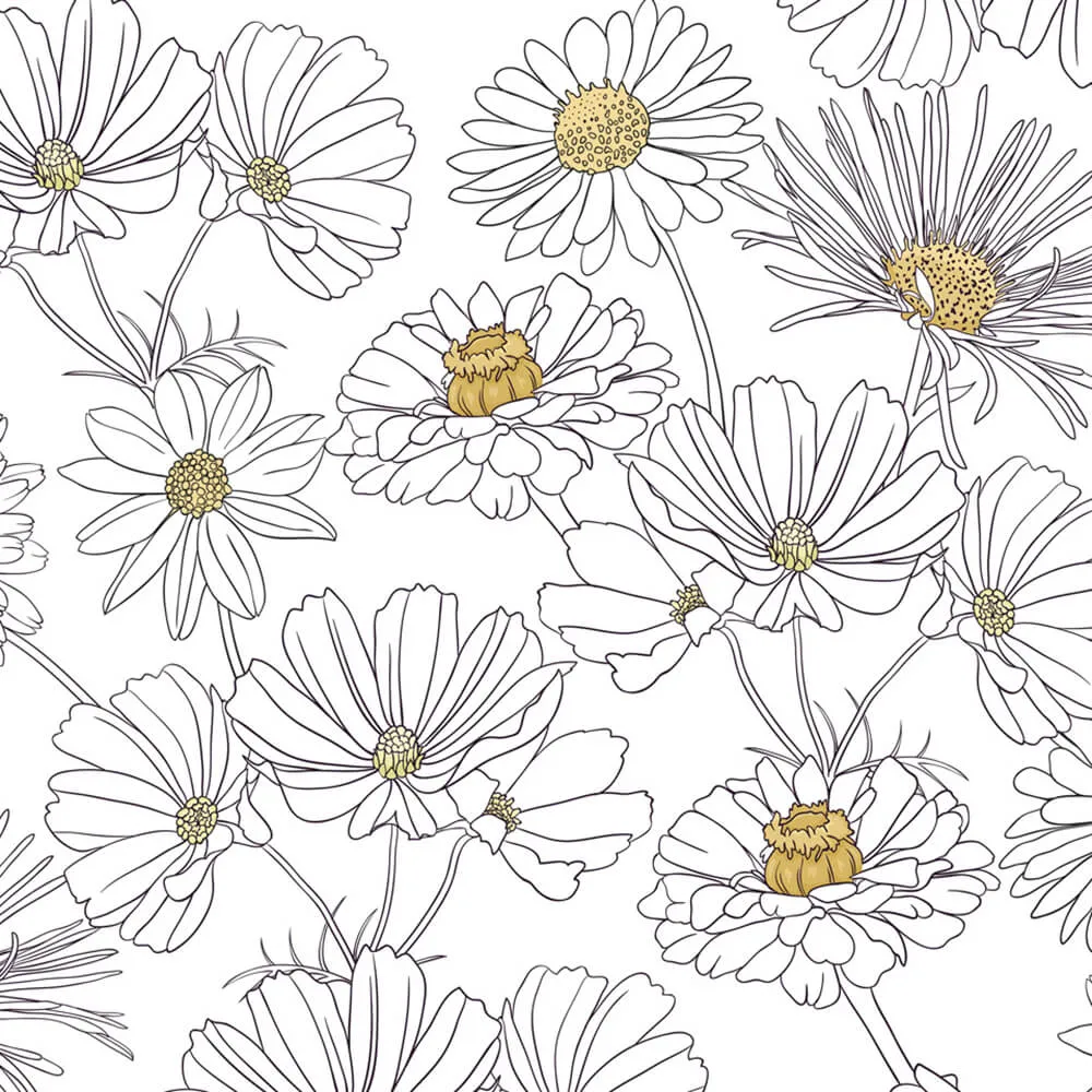 Rimura – Wallpaper Margarida 3D Model