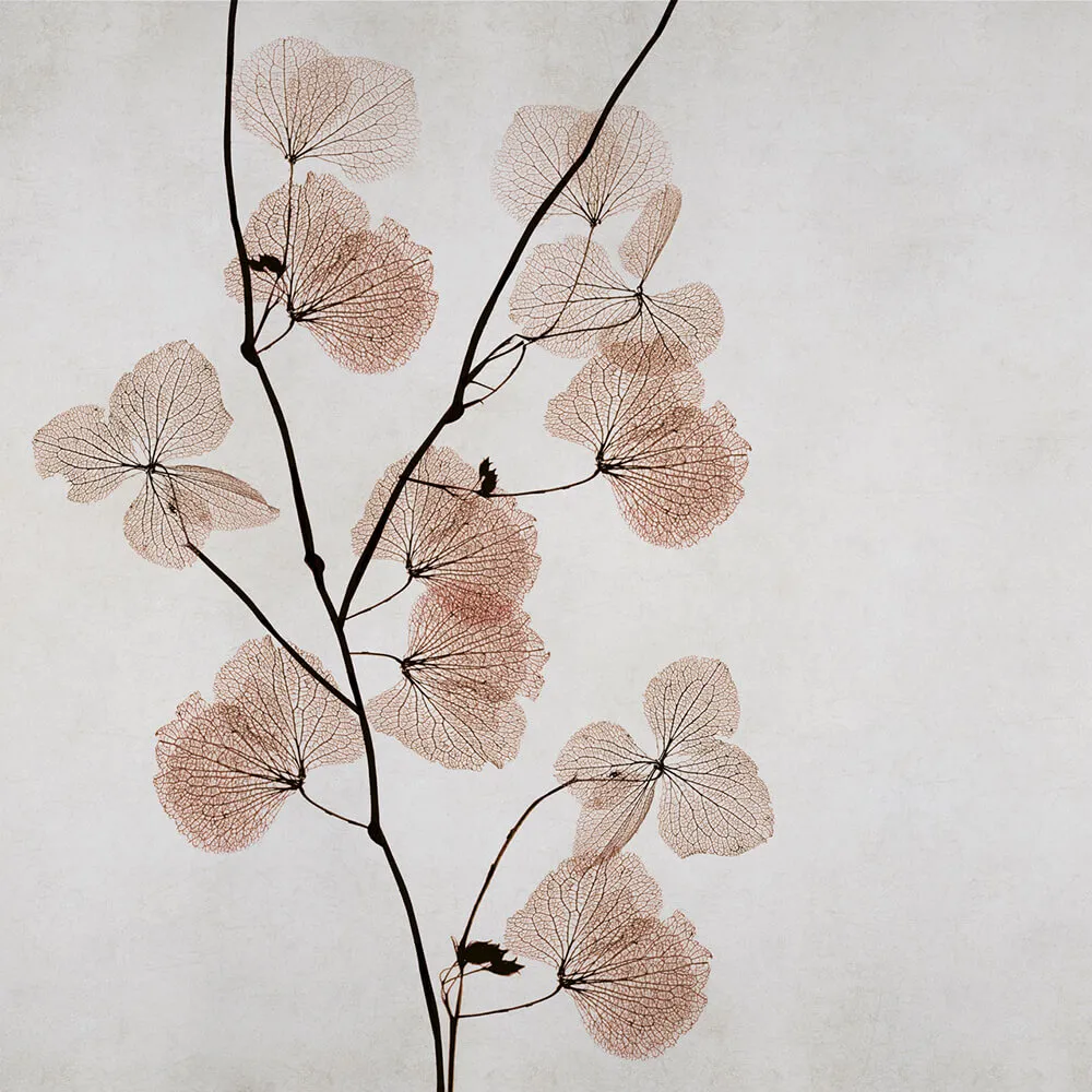 Rimura – Wallpaper Mizar 3D Model