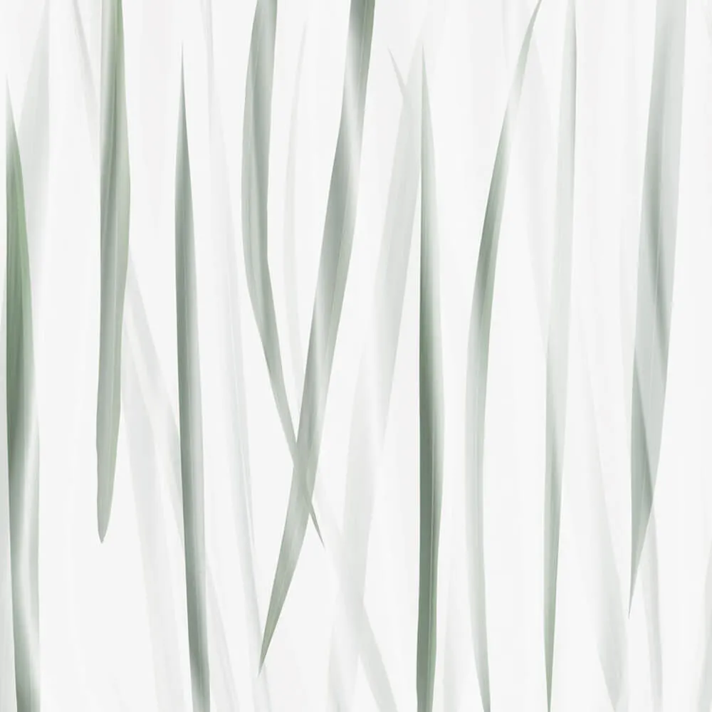 Rimura – Wallpaper Morning Light 3D Model